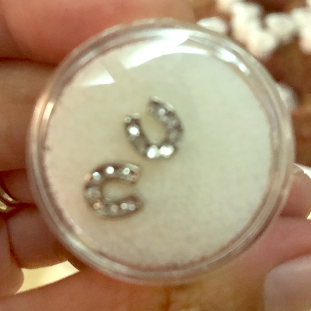 Origami Owl Charm Horseshoe With Crystals